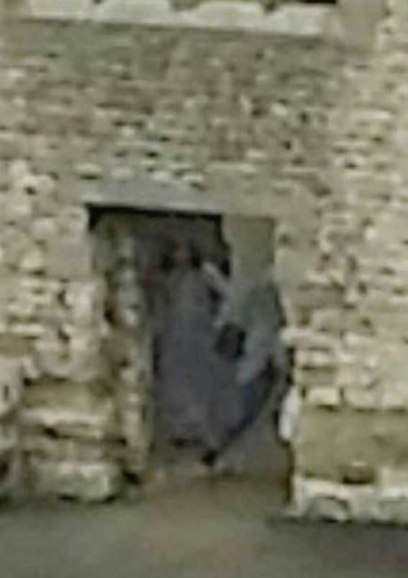 В английском замке туристы засняли призрак женщины и ребенка (4 фото) - «Призраки»