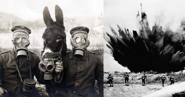 13 интересных фактов о Первой мировой войне (14 фото) - «Катаклизмы»