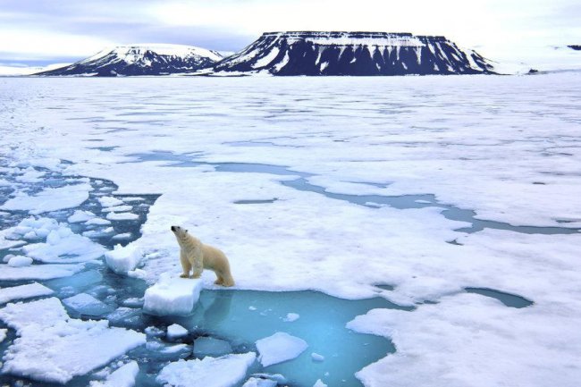 Восстановить арктический лед можно с помощью крошечных ветряных насосов (9 фото) - «Катаклизмы»