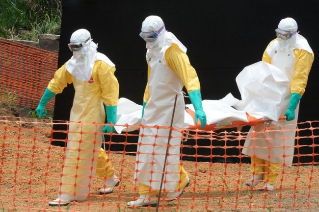 Куда делась лихорадка Эбола (18 фото) - «Катаклизмы»