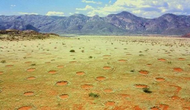 В Австралии нашли загадочные «дьявольские круги» (3 фото) - «Аномальные зоны»