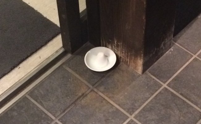 Зачем японцы ставят у двери тарелку с солью? (3 фото) - «Мистика»
