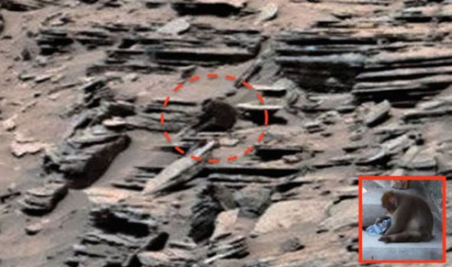На фотографиях марсохода виртуальные археологи нашли обезьяну (3 фото + видео) - «Тайны Космоса»