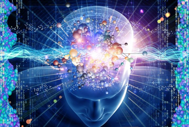 Человеческий мозг – уникальный передатчик информации от Высшего Разума - «Гипотезы»