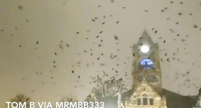 Огромная стая ворон кружила над церковью перед приходом торнадо (2 фото + видео) - «Мистика»