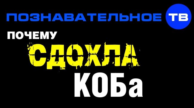 Почему сдохла КОБа? (Познавательное ТВ, Артём Войтенков) - YouTube - «Видео»
