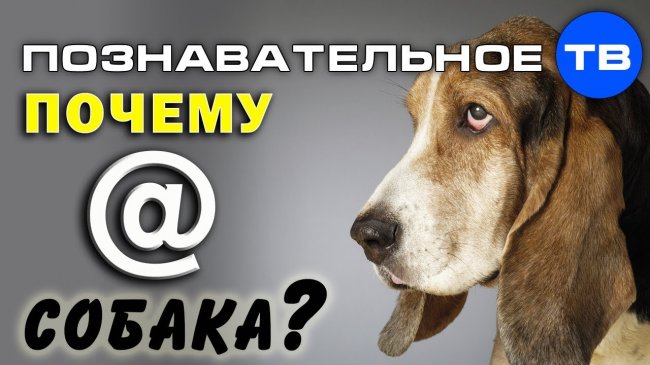 Почему @ собака? (Познавательное ТВ, Артём Войтенков) -  - «Видео»