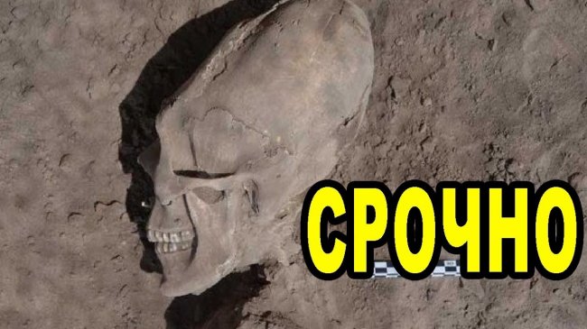 Вот это находка! Эти невероятно-возмутительные артефакты – останки существ неизвестной расы! - YouTube - «Видео новости»