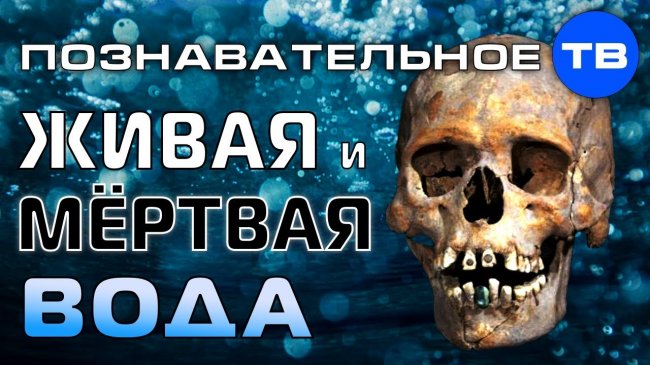 Живая и мёртвая вода древних славян (Познавательное ТВ, Артём Войтенков) -  - «Видео»