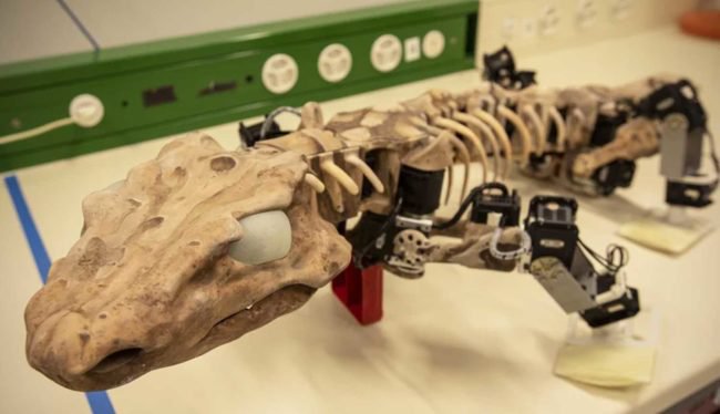 Ученые создали роботизированную копию древнего ящера - «Новые технологии»