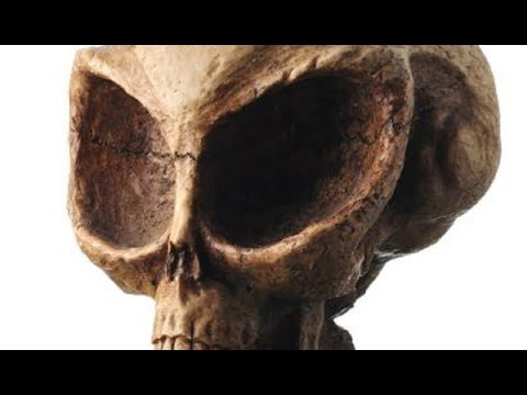 Огромные черепа необычной формы найдены археологами.Выглядит завораживающе.Следы богов.Тайны мира - YouTube - «Видео новости»