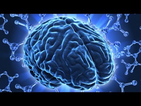 Сенсационные факты о мозге,которые поставили ученых в тупик.Обитель разума.Документальный проект - YouTube - «Видео новости»