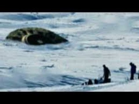 Вмерз шего в лед пришельца нашли тирольские туристы,и вот что потом стало про ис ходить - YouTube - «Видео новости»