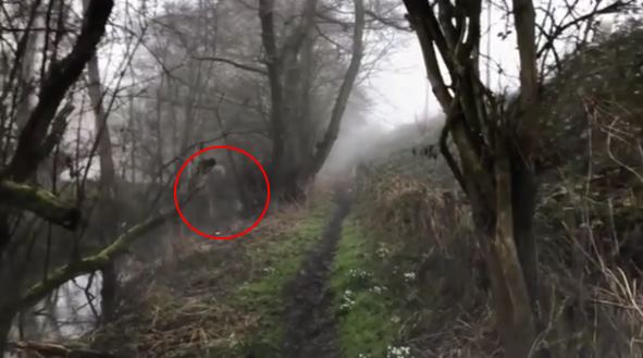 На видео засняли двигающегося призрака с головой-черепом (3 фото + видео) - «Призраки»