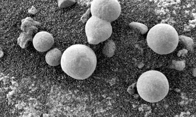 На Марсе растут грибы, заявляют ученые (8 фото) - «Тайны Космоса»