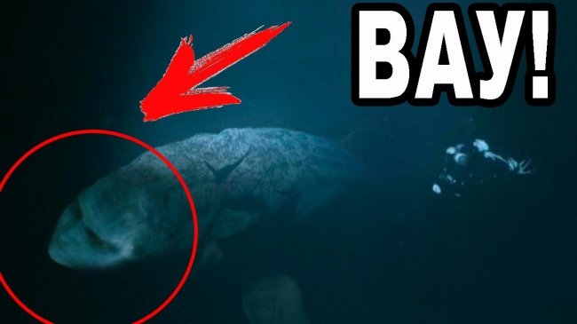 СРОЧНО!! Подводная ЦИВИЛИЗАЦИЯ запретила землянам забираться глубоко в океаны? Документальный проект - YouTube - «Видео новости»