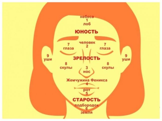 Древние знания: девять точек на лице, указывающие на нашу предрасположенность к счастью и богатству (7 фото) - «Мистика»