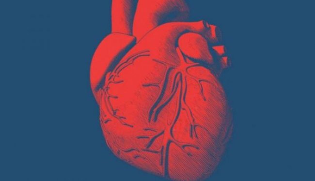 Представлено первое в мире сердце, напечатанное на 3D-принтере из человеческих тканей - «Новые технологии»