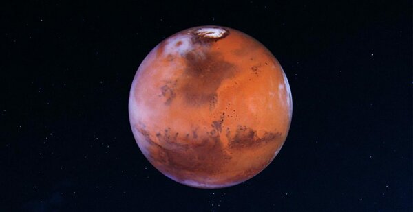 Признаки жизни на снимках НАСА с Марса (12 фото) - «Тайны Космоса»