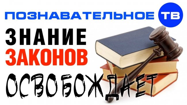 Знание законов ОСВОБОЖДАЕТ от отвественности (Познавательное ТВ, Евгений Пупырин) - YouTube - «Видео»