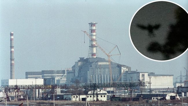 Чёрная птица Чернобыля (2 фото) - «Катаклизмы»