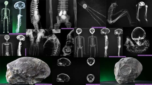Инопланетные мумии из Перу: мнение экспертов (10 фото) - «Инопланетяне»