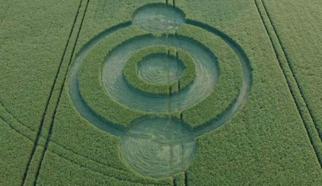 Обнаружен первый в этом году британский круг на поле - «Круги на полях»