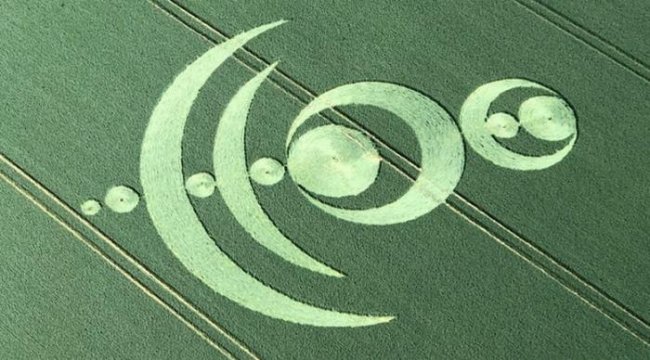 Пилот сфотографировал сложный рисунок на поле Франции (2 фото + видео) - «Круги на полях»