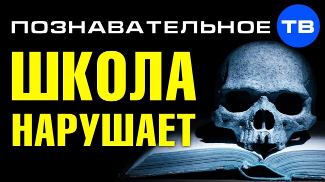 Школа НАРУШАЕТ ЗАКОН. Вас УМЫШЛЕННО делают больными и сутулыми (Познавательное ТВ, Артём Войтенков) - YouTube - «Видео»