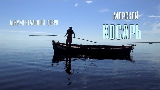 Морской косарь (Документальный очерк) - YouTube - «Видео новости»