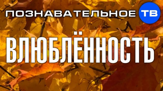 Влюблённость. Как создать семью 1 (Познавательное ТВ, Татьяна Олешкевич) - YouTube - «Видео»