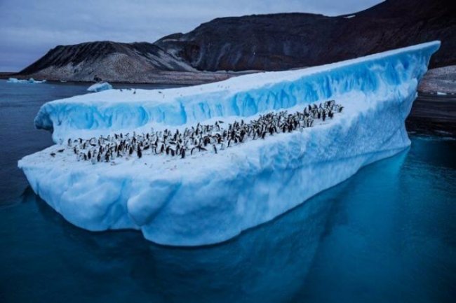 Сколько снега растаяло из-за рекордно высокой температуры в Антарктиде? - «Планета Земля»