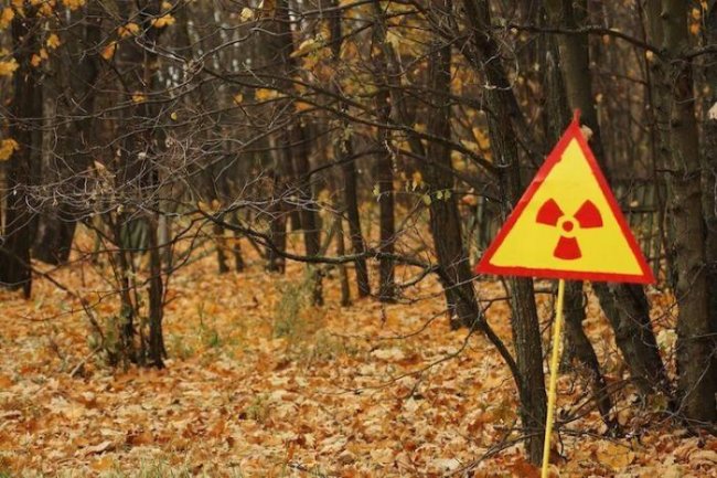 Почему Чернобыль является угрозой для мира, даже 34 года спустя (9 фото) - «Катаклизмы»