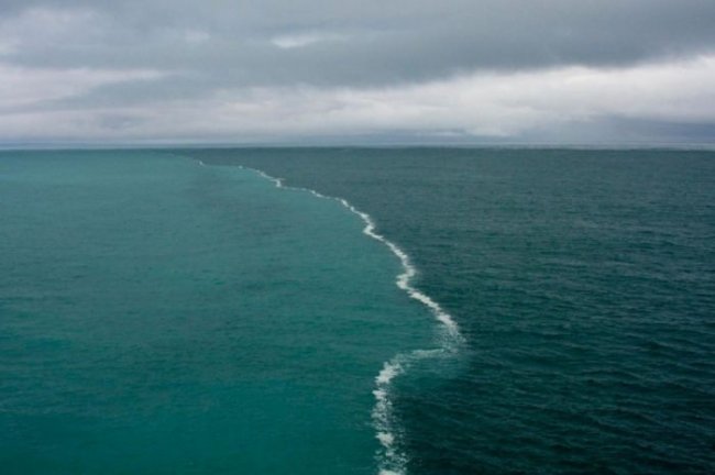 ТОП-16 водоёмов, в которых реки, моря и океаны не смешиваются (20 фото) - «Планета Земля»