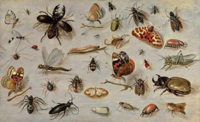 Человечество может исчезнуть из-за вымирания насекомых (3 фото) - «Планета Земля»