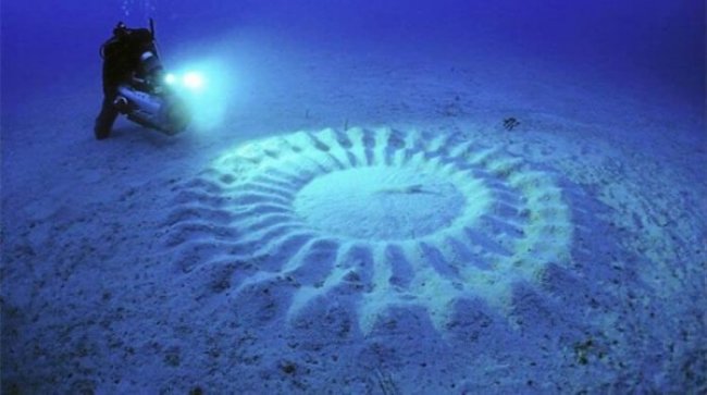 На дне морей есть загадочные круги: что это такое? (4 фото + видео) - «Планета Земля»