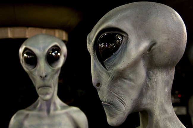 Интересные факты о инопланетянах: виды, происхождение (6 фото) - «Инопланетяне»