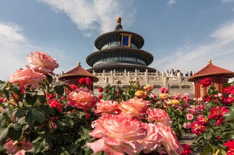 В Китае ужесточают ограничения на поездки граждан за рубеж - «Новости туризма»
