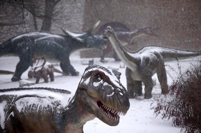 Могут ли выжить динозавры в условиях Крайнего Севера? - «Существа»