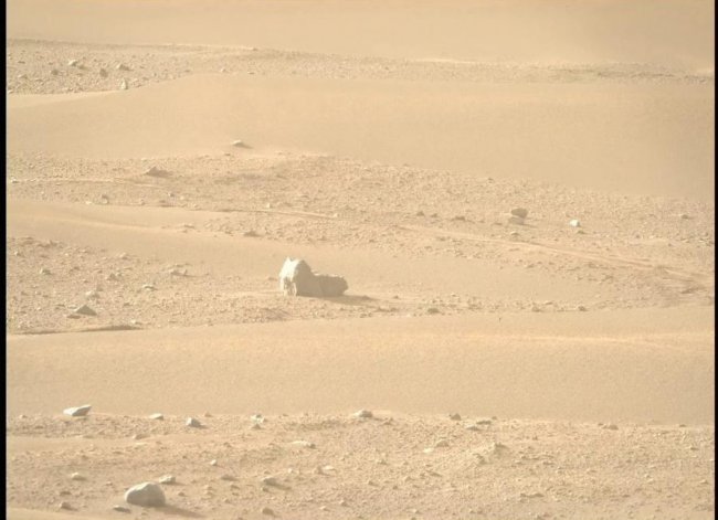 Марсоход нашел на Марсе «кошку» - «Процесс познания»