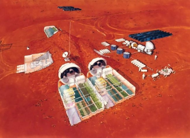 Ученый предложил создать космический заповедник на Марсе - «Процесс познания»