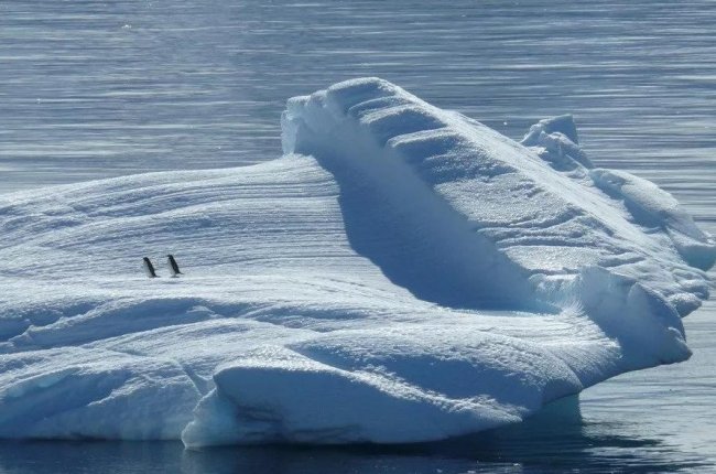 Портал в ледяное прошлое пробурили в Антарктиде - «Процесс познания»